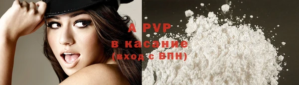 кокс Баксан