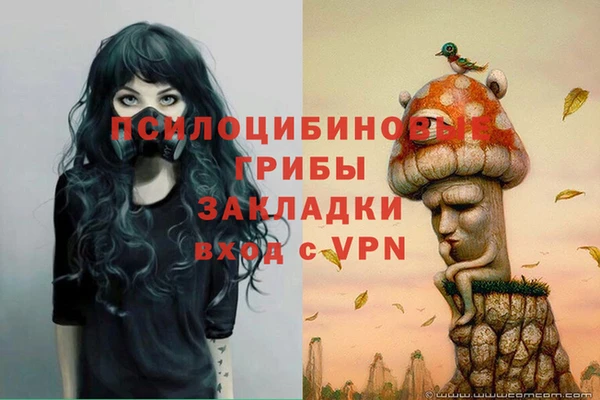 кокс Баксан
